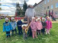 IMG_7913